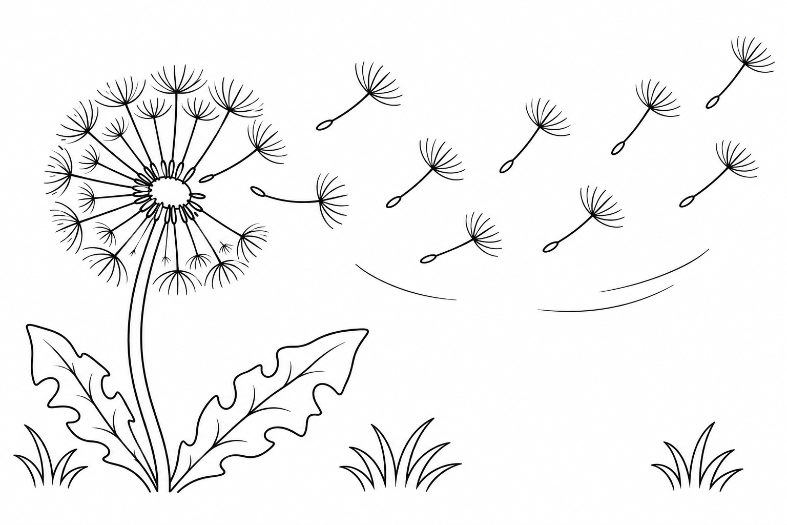 Dandelion seeds float across a meadow breeze from a tall seed head.