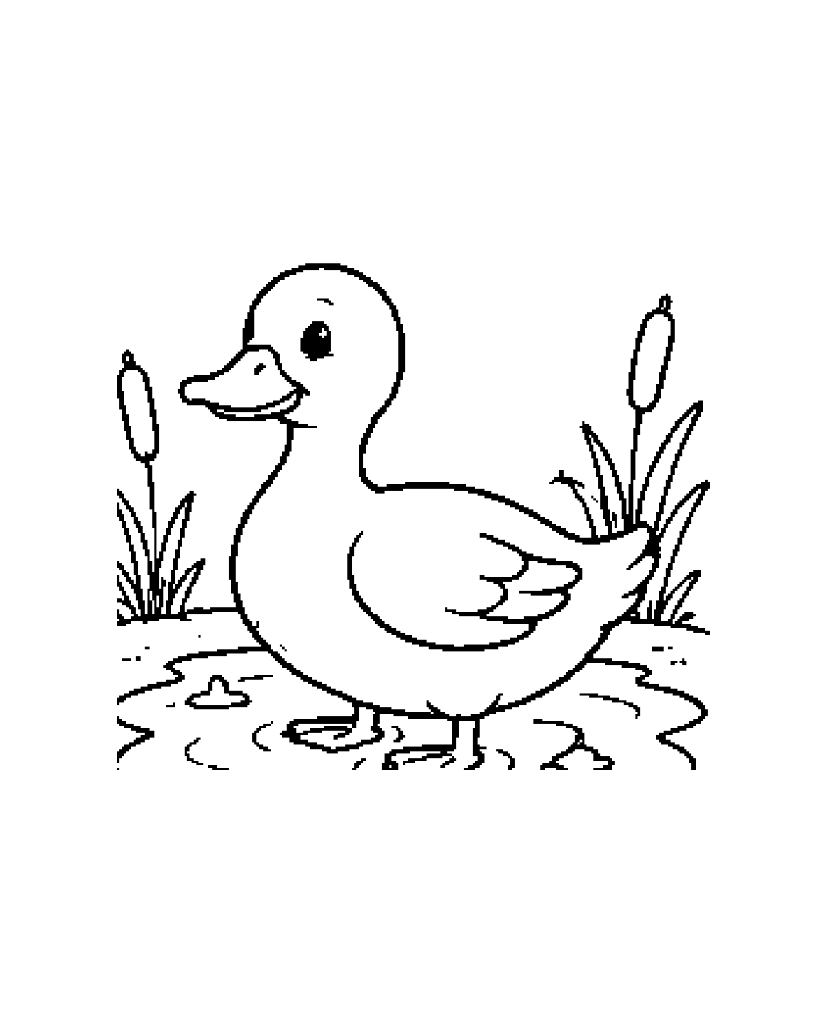 Duck printable coloring picture