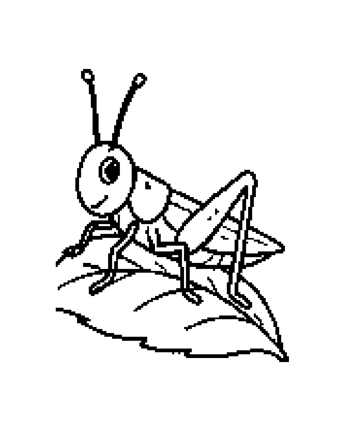 Grasshopper printable coloring picture