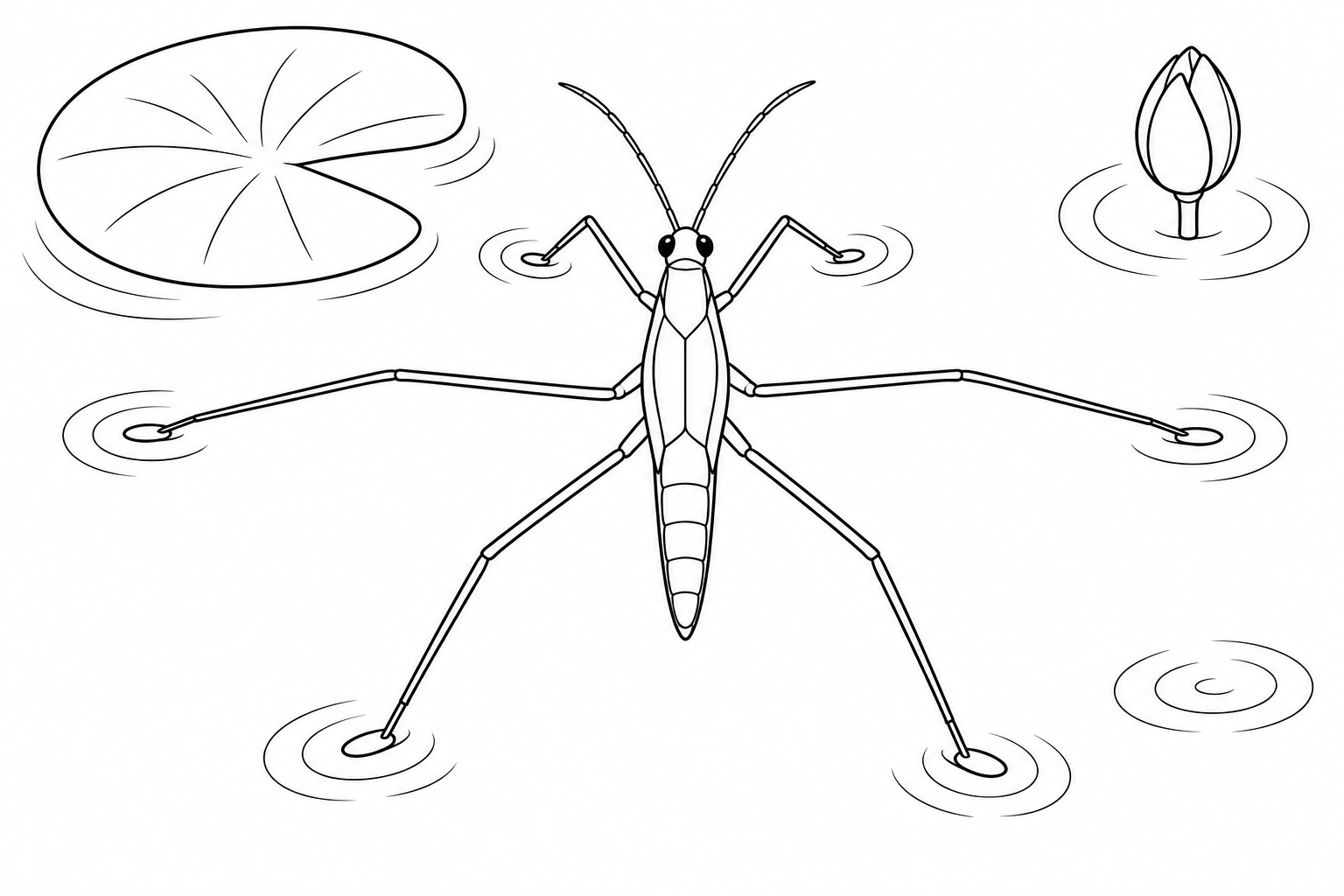 A six-legged water strider balances on the pond surface beside a lily pad and flower bud.